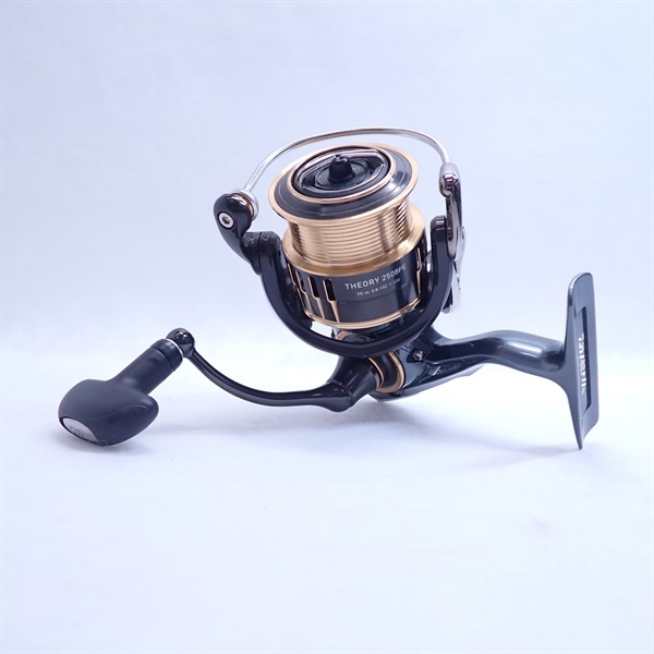 １７セオリー２５０８ＰＥ